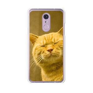 LG Q Stylus 801LG/LM-Q710XM���� �P�[�X/�J�o�[ �y��y�͔L�ł��閼�O�͂܂��j���� �N���A�P�[�X�f�ށzLG Q�X�^�C���X �J�o�[ LMQ710XM ���C���o�C�� �y�V���o�C�� LGQStylus