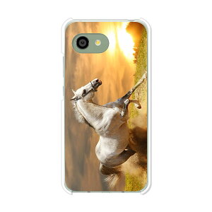 AQUOS R2 compact 803SH/SH-M09 ���� �P�[�X/�J�o�[ �y�삯��n �N���A�P�[�X�f�ށzaquosr2compact803sh �J�o�[ �A�N�I�X SHM09 �\�t�g�o���N �y�V���o�C�� mineo