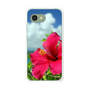 AQUOS R2 compact 803SH/SH-M09 ���� �P�[�X/�J�o�[ �y�n�C�r�X�J�X�ƊC �N���A�P�[�X�f�ށzaquosr2compact803sh �J�o�[ �A�N�I�X SHM09 �\�t�g�o���N �y�V���o�C�� mineo
