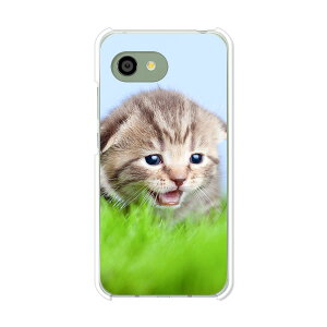 AQUOS R2 compact 803SH/SH-M09 ���� �P�[�X/�J�o�[ �y�������j���� �N���A�P�[�X�f�ށzaquosr2compact803sh �J�o�[ �A�N�I�X SHM09 �\�t�g�o���N �y�V���o�C�� mineo