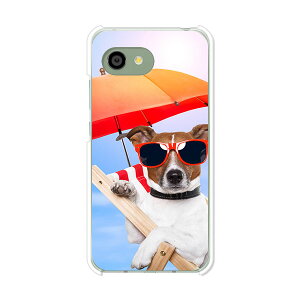 AQUOS R2 compact 803SH/SH-M09 ���� �P�[�X/�J�o�[ �y�T�}�[��� �N���A�P�[�X�f�ށzaquosr2compact803sh �J�o�[ �A�N�I�X SHM09 �\�t�g�o���N �y�V���o�C�� mineo