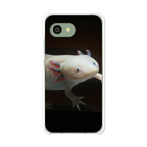 AQUOS R2 compact 803SH/SH-M09 ���� �P�[�X/�J�o�[ �y�E�[�p�[���[�p�[ �N���A�P�[�X�f�ށzaquosr2compact803sh �J�o�[ �A�N�I�X SHM09 �\�t�g�o���N �y�V���o�C�� mineo