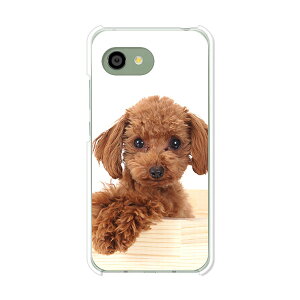 AQUOS R2 compact 803SH/SH-M09 ���� �P�[�X/�J�o�[ �y�v�[�h�� �N���A�P�[�X�f�ށzaquosr2compact803sh �J�o�[ �A�N�I�X SHM09 �\�t�g�o���N �y�V���o�C�� mineo