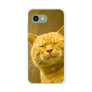 AQUOS R2 compact 803SH/SH-M09 ���� �P�[�X/�J�o�[ �y��y�͔L�ł��閼�O�͂܂��j���� �N���A�P�[�X�f�ށzaquosr2compact803sh �J�o�[ �A�N�I�X SHM09 �\�t�g�o���N �y�V���o�C�� mineo