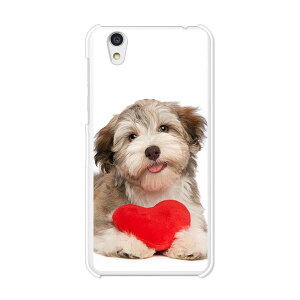 Android One S3/AQUOS sense basic 702SH���� �J�o�[/�P�[�X �V���R���P�[�X�����R�V������S�~�����ɂ���TPU�J�o�[ �y�n�[�g�Ƃ�� TPU�\�t�g�P�[�X�z�A���h���C�h ���� �A�N�I�X �X�}�z�P�[�X