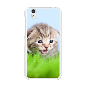 Android One S3/AQUOS sense basic 702SH共通 カバー/ケース シリコンケースよりもコシがありゴミがつきにくいTPUカバー 【見つけたニャン TPUソフトケース】アンドロイド ワン アクオス スマホケース