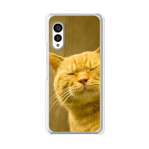 arrows N F-51C �P�[�X/�J�o�[ �y��y�͔L�ł��閼�O�͂܂��j���� �N���A�P�[�X�f�ށz�A���[�Yf51c�P�[�X arrowsF51C�P�[�X �X�}�z�P�[�X �X�}�z�J�o�[ �g�уP�[�X