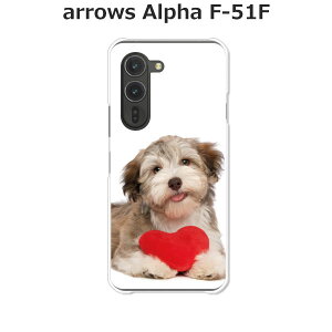 arrows Alpha F-51F P[X/Jo[ yn[gƂ NAP[XfށzA[YAlpha X}zP[X hR A[YAt@ gуP[X A[Y gуJo[