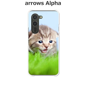 arrows Alpha F-51F/arrows Alpha M08  P[X/Jo[ yj NAP[XfށzA[YAlpha X}zP[X hR A[YAt@ gуP[X A[Y gуJo[