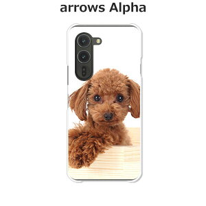 arrows Alpha F-51F/arrows Alpha M08  P[X/Jo[ yv[h NAP[XfށzA[YAlpha X}zP[X hR A[YAt@ gуP[X A[Y gуJo[