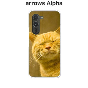 arrows Alpha F-51F/arrows Alpha M08  P[X/Jo[ yy͔Lł閼O͂܂j NAP[XfށzA[YAlpha X}zP[X hR A[YAt@ gуP[X A[Y gуJo