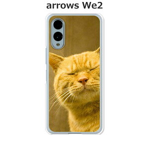 arrows We2 F-52E / FCG02 / A402FC / M07 ���� �P�[�X/�J�o�[ �y��y�͔L�ł��閼�O�͂܂��j�����z�I�ׂ� �n�[�h�P�[�X �� �V���R���P�[�X���قǗǂ��d����TPU �\�t�g�P�[�X �A���[�YWe2 �X�}�z�P�[�X