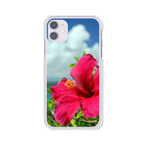 iPhone11 �P�[�X/�J�o�[ �y�n�C�r�X�J�X�ƊC �N���A�P�[�X�f�ށz�A�C�t�H��11 iPhoneXI �J�o�[ �A�C�t�H���P�[�X �g�уJ�o�[ ip11