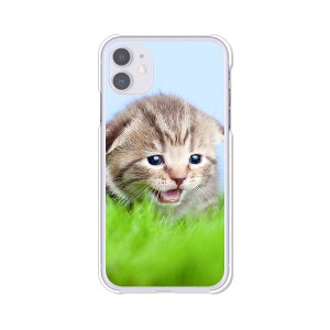iPhone11 �P�[�X/�J�o�[ �y�������j���� �N���A�P�[�X�f�ށz�A�C�t�H��11 iPhoneXI �J�o�[ �A�C�t�H���P�[�X �g�уJ�o�[ ip11