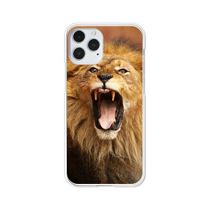 iPhone12 / iPhone12 Pro ���� �J�o�[/�P�[�X �V���R���P�[�X�����R�V������S�~�����ɂ���TPU�J�o�[ �y�炢����I TPU�\�t�g�P�[�X�zAPPLE iphone12pro�P�[�X iPhone12�J�o�[ �A�C�t�H�� 12 �P�[�X �g��