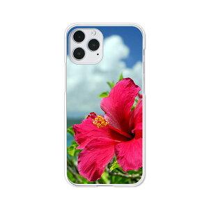 iPhone12 / iPhone12 Pro ���� �J�o�[/�P�[�X �V���R���P�[�X�����R�V������S�~�����ɂ���TPU�J�o�[ �y�n�C�r�X�J�X�ƊC TPU�\�t�g�P�[�X�zAPPLE iphone12pro�P�[�X iPhone12�J�o�[ �A�C�t�H�� 12 �P�[