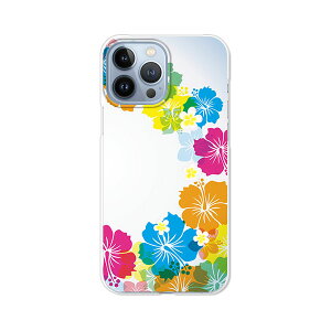 iPhone13 Pro Max P[X/Jo[ ynCrXJXFLASH NAP[XfށzACtH13v}bNXP[X X}zP[X gуP[X gуJo[