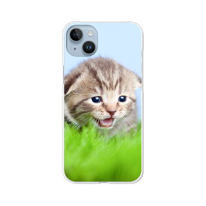iPhone14 Plus �J�o�[/�P�[�X �V���R���P�[�X�����R�V������S�~�����ɂ���TPU�J�o�[ �y�������j���� TPU�\�t�g�P�[�X�zAPPLE iphone14plus�P�[�X iPhone14plus�J�o�[ �A�C�t�H��14�v���X�P�[�X �X