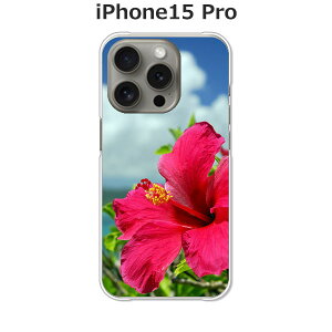 iPhone15 Pro �P�[�X/�J�o�[ �y�n�C�r�X�J�X�ƊC �N���A�P�[�X�f�ށzAPPLE iphone15pro�P�[�X iPhone15 Pro�J�o�[ �A�C�t�H��15�v���P�[�X �X�}�z�P�[�X �g�уP�[�X �g�уJ�o�[ ipp15