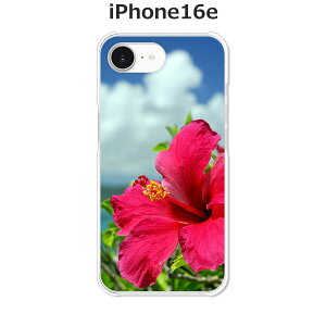iPhone16e �P�[�X/�J�o�[ �y�n�C�r�X�J�X�ƊC�z�I�ׂ� �n�[�h�P�[�X �� �V���R���P�[�X���قǗǂ��d����TPU �\�t�g�P�[�X �A�C�t�H��16e �h�R�� au �\�t�g�o���N �y�V���o�C�� SIM�t���[ �X�}�z