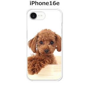 iPhone16e P[X/Jo[ yv[hzIׂ n[hP[X  VRP[XقǗǂdTPU \tgP[X ACtH16e hR au \tgoN yVoC SIMt[ X}zP[X 