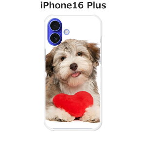 iPhone16 Plus �P�[�X/�J�o�[ �y�n�[�g�Ƃ�񂱁z�I�ׂ� �n�[�h�P�[�X �� �V���R���P�[�X���قǗǂ��d����TPU �\�t�g�P�[�X �A�C�t�H��16�v���X �X�}�z�P�[�X �g�уJ�o�[ �g�уP�[�X