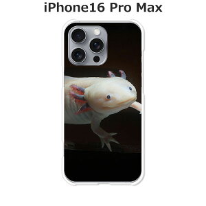 iPhone16 Pro Max P[X/Jo[ yE[p[[p[zIׂ n[hP[X  VRP[XقǗǂdTPU \tgP[X ACtH16v}bNX X}zP[X gуJo[ gуP[