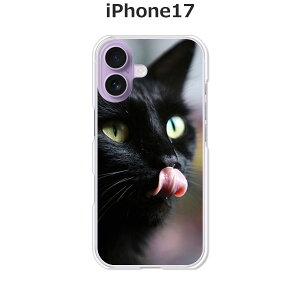 iPhone17 P[X/Jo[ yCatIzIׂ n[hP[X  VRP[XقǗǂdTPU \tgP[X ACtH17 hR au \tgoN yVoC SIMt[ X}zP[X gуJ