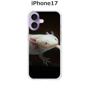 iPhone17 �P�[�X/�J�o�[ �y�E�[�p�[���[�p�[�z�I�ׂ� �n�[�h�P�[�X �� �V���R���P�[�X���قǗǂ��d����TPU �\�t�g�P�[�X �A�C�t�H��17 �h�R�� au �\�t�g�o���N �y�V���o�C�� SIM�t���[ �X�}�z