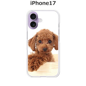 iPhone17 P[X/Jo[ yv[hzIׂ n[hP[X  VRP[XقǗǂdTPU \tgP[X ACtH17 hR au \tgoN yVoC SIMt[ X}zP[X g