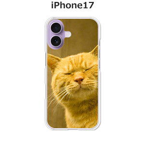 iPhone17 P[X/Jo[ yy͔Lł閼O͂܂jzIׂ n[hP[X  VRP[XقǗǂdTPU \tgP[X ACtH17 hR au \tgoN yVoC SIM