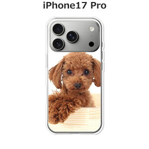 iPhone17 Pro P[X/Jo[ yv[h NAP[XfށzACtH17v n[hP[X iPhone 17 Pro X}zP[X hR au \tgoN yVoC  gуP[X gуJo[ ipp17