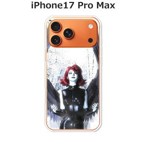 iPhone17 Pro Max �P�[�X/�J�o�[ �yDarkAngel �N���A�P�[�X�f�ށz�A�C�t�H��17�v���}�b�N�X �P�[�X iPhone17ProMax�X�}�z�P�[�X �h�R�� au �\�t�g�o���N �y�V���o�C�� �� �g�уP�[�X �g�уJ�o�[ ippm17