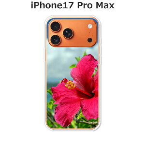 iPhone17 Pro Max �P�[�X/�J�o�[ �y�n�C�r�X�J�X�ƊC �N���A�P�[�X�f�ށz�A�C�t�H��17�v���}�b�N�X �P�[�X iPhone17ProMax�X�}�z�P�[�X �h�R�� au �\�t�g�o���N �y�V���o�C�� �� �g�уP�[�X �g�уJ�o
