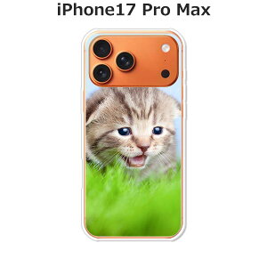 iPhone17 Pro Max �P�[�X/�J�o�[ �y�������j���� �N���A�P�[�X�f�ށz�A�C�t�H��17�v���}�b�N�X �P�[�X iPhone17ProMax�X�}�z�P�[�X �h�R�� au �\�t�g�o���N �y�V���o�C�� �� �g�уP�[�X �g�уJ�o�[ i