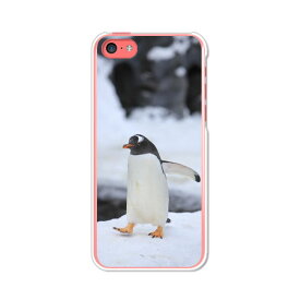 送料無料 iPhone5C アイフォン5C ケース/カバー 【ペンギン クリアケース素材】iPhone5C専用 クリアハードケース ジャケット