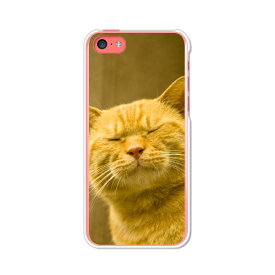 送料無料 iPhone5C アイフォン5C ケース/カバー 【吾輩は猫である名前はまだニャい クリアケース素材】iPhone5C専用 クリアハードケース ジャケット