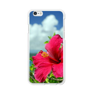 �������� iphone6s �A�C�t�H�� �J�o�[/�P�[�X�@�V���R������TPU�J�o�[�� �y�n�C�r�X�J�X�ƊC TPU�\�t�g�P�[�X�ziphone6s �ی� �W���P�b�g���� Apple au softbank docomo