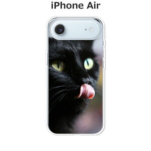 iPhone Air P[X/Jo[ yCatI NAP[XfށzACtHGA[ n[hP[X iPhone Air X}zP[X hR au \tgoN yVoC  gуP[X gуJo[ ipair1