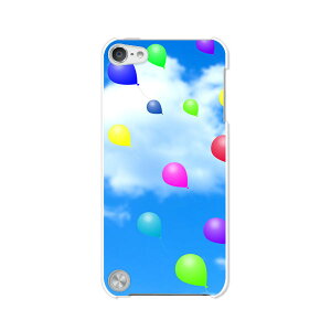  5 iPod touch Apple AC|bh P[X/Jo[yD nn[hP[Xz