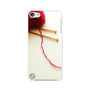  5 iPod touch Apple AC|bh P[X/Jo[ya nn[hP[Xz