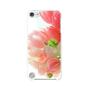  5 iPod touch AC|bh P[X/Jo[ Apple iPod touch5pyt[AW NAP[Xfށz