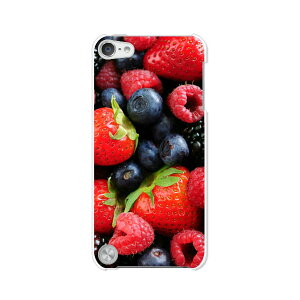  5 iPod touch AC|bh P[X/Jo[ Apple iPod touch5pyVeryx[ NAP[Xfށz