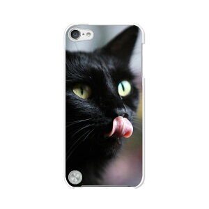  5 iPod touch AC|bh P[X/Jo[ Apple iPod touch5pyCatI NAP[Xfށz