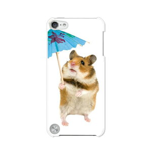  5 iPod touch Apple AC|bh P[X/Jo[ynX^[ nn[hP[Xz