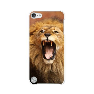 5 iPod touch Apple AC|bh P[X/Jo[y炢I nn[hP[Xz