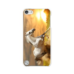  5 iPod touch AC|bh P[X/Jo[ Apple iPod touch5py삯n NAP[Xfށz