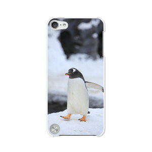  5 iPod touch AC|bh P[X/Jo[ Apple iPod touch5pyyM NAP[Xfށz