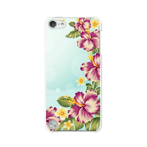  5 iPod touch Apple AC|bh P[X/Jo[y썑͗l nn[hP[Xz