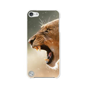  5 iPod touch Apple AC|bh P[X/Jo[yLION nn[hP[Xz